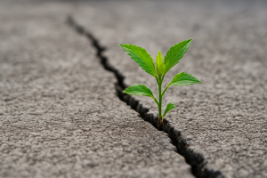 A green plant sprouting through a crack in concrete, symbolizing the idea of coaching tips for getting unstuck and stepping forward with resilience and growth.